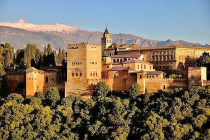 Alhambra y Palacios Nazaríes: entrada sin colas y guía local