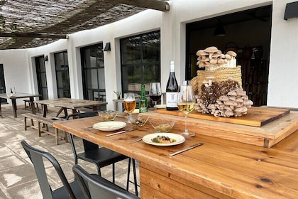 Guided tour and tasting in mushroom cultivation