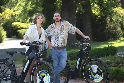 Viena: recorrido en bicicleta eléctrica con degustación de vinos