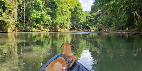 La Fortuna: TOPP Wildlife Safari-opplevelse med kajakk