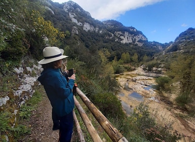 Desde Siracusa: caminata guiada a la reserva natural de Cavagrande