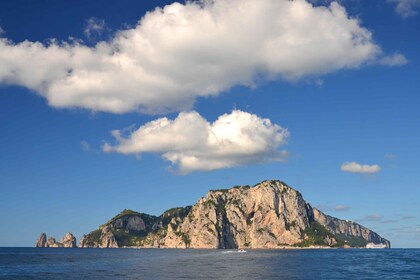 De Capri : L'île de Capri et Nerano en bateau privé excursion