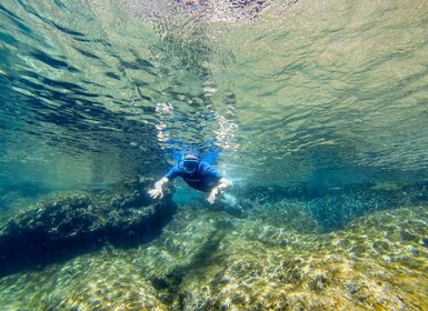 San Terenzo: Perjalanan Snorkeling Taman Alam Portovenere