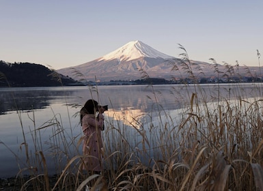 Tokyo: Mount Fuji and Hakone Private Sightseeing Day Trip