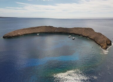 From Kihei: Molokini Snorkel Adventure 2-Hours