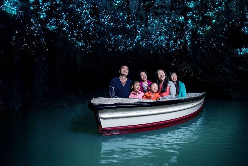 From Auckland : Waitomo Caves and Rotorua with Te Puia