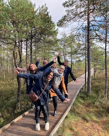 Fra Tallinn: Dagstur til Lahemaa Nationalpark