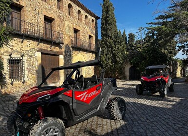 Salou : Safari en buggy avec transfert à l'hôtel