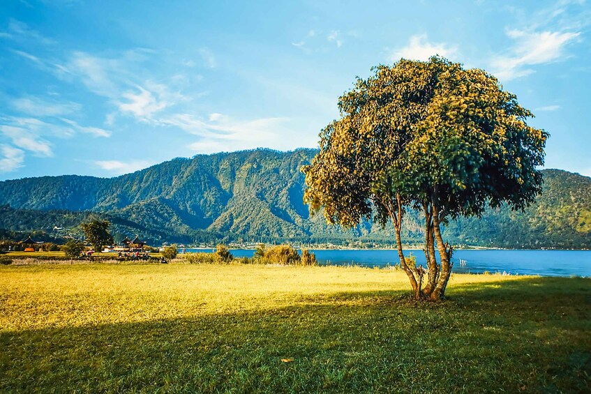 Picture 8 for Activity North Bali: Sunrise Tour with Dolphins, Waterfalls & Temples