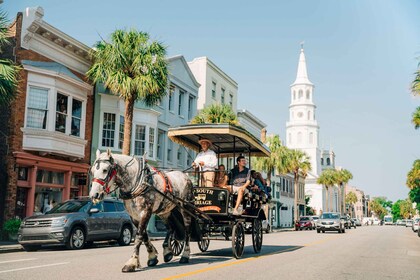 Vanuit Myrtle Beach: Dagtocht Charleston, Boone Hall & Cruise