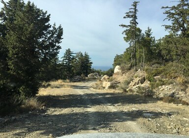 Safari på Rhodos Syd: Bjerge og lokale smagsoplevelser