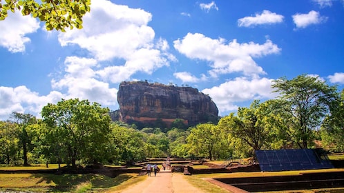 From Kandy: Sigiriya Rock Dambulla & Minneriya park Day Trip