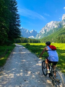 Bled: EBike Tour Lake Bled & Triglav National Park Private
