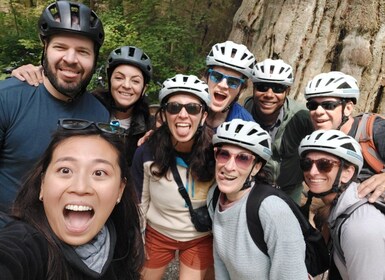 Vancouver : Vélo de ville excursion | Mise à niveau E-Bike disponible. | 4 ...