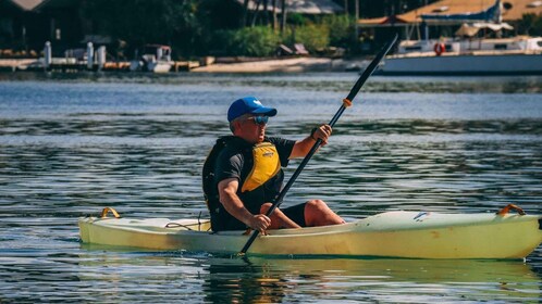 Noosa River: Mangroven und Herrenhäuser Geführte Kajaktour