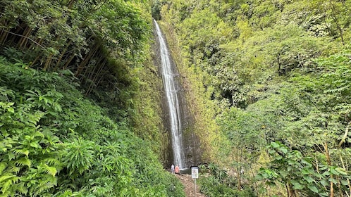 Manoa Falls eBike to Hike