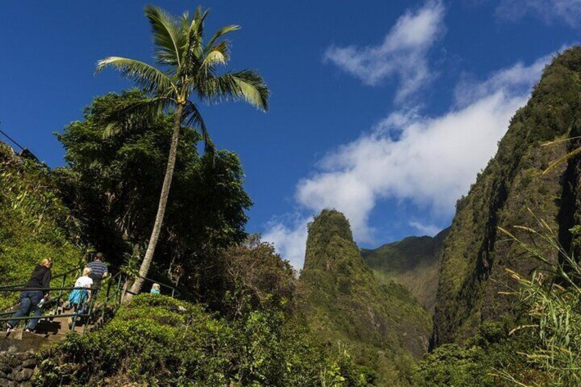 Maui Coast Slingshot Private Tour from Lahaina