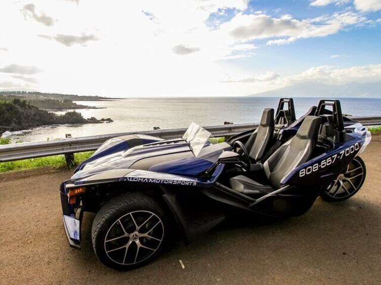 Maui Coast Slingshot Private Tour from Lahaina