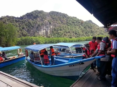 Malaysia Langkawi Mangrove Tour Experience