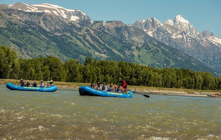 13-Mile Snake River Scenic Rafting Experience from Jackson