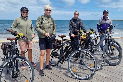 Fremantle Electric Bike Tour