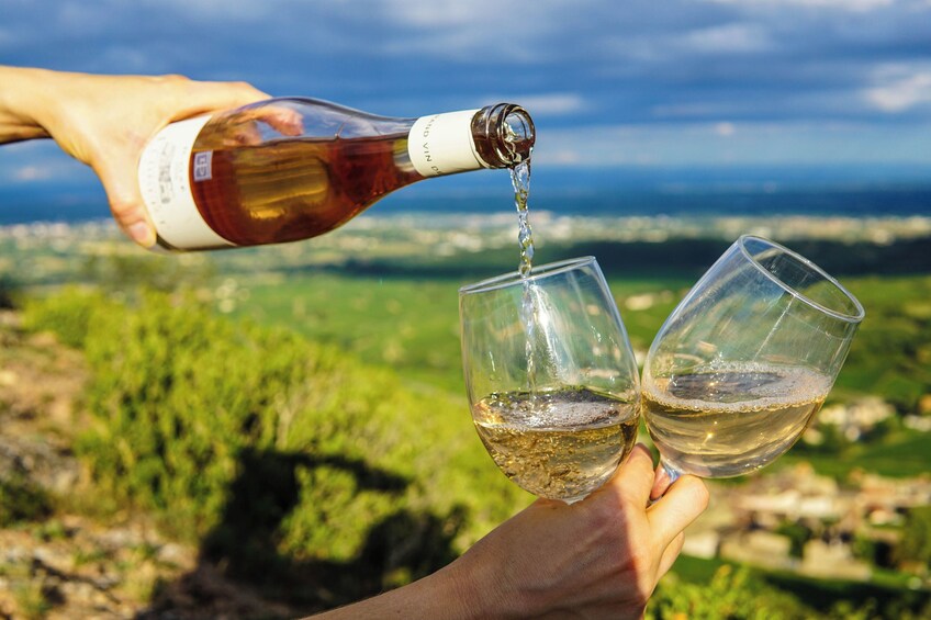 Alcatraz Day Tour with Aquarium + Muir Woods with Napa & Sonoma Wine Tour