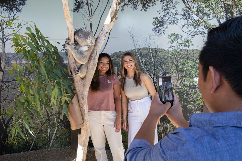Picture 17 for Activity Blue Mountains: Scenic World, Ferry, Zoo & Koala Photo
