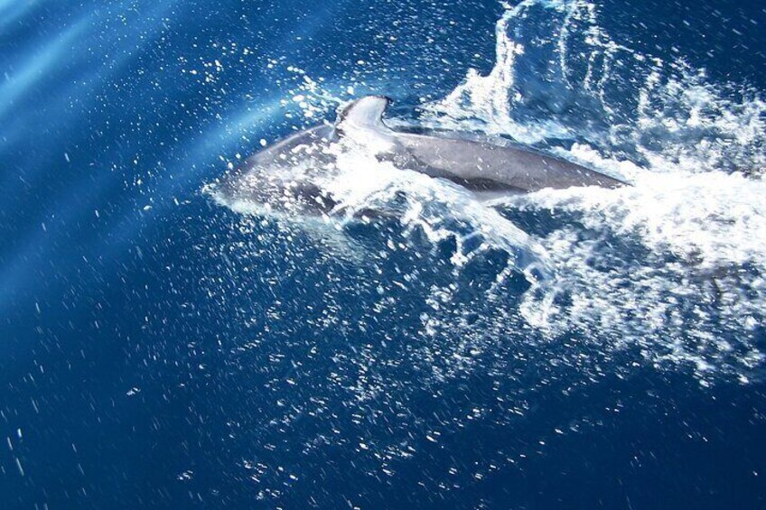 Sunrise or Sunset Tour on the Tahiti Lagoon