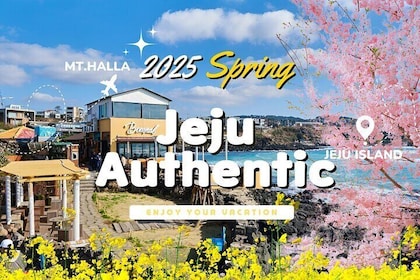 Jeju WEST&SOUTH One Day Tour with MT.halla & Aewol