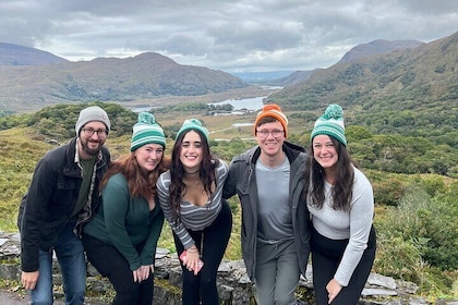 Killarney Minibus Park Torc Waterfall & Ladies View Private Tour