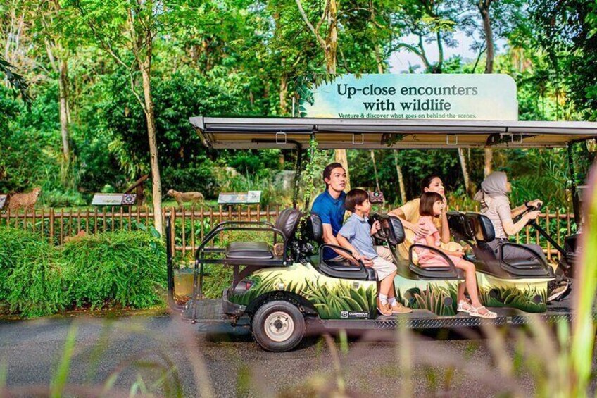Singapore Mandai Wildlife Entry Ticket with Tram Ride