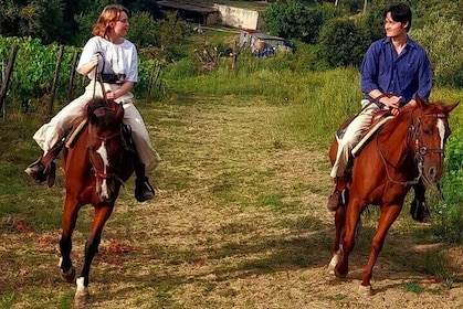 Horseback riding tour of the Chianti hills