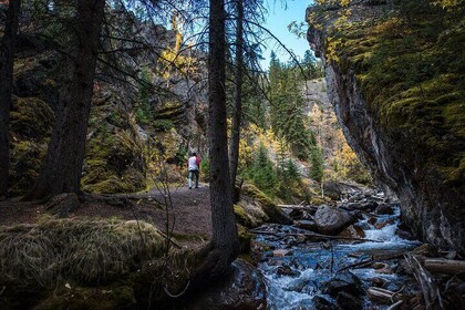 Banff Thermal Water and Hidden Waterfalls Walking Tour