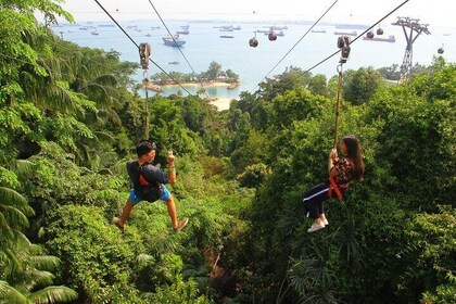 MegaZip, Climb & Jump at Mega Adventure