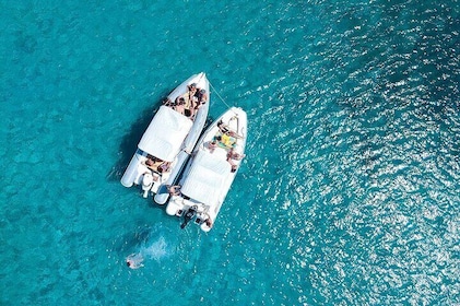 Coastal Wonders of Kefalonia - Rib Cruise from Argostoli Port