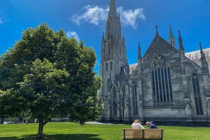 Dunedin City - Settlers & Voyages Tour