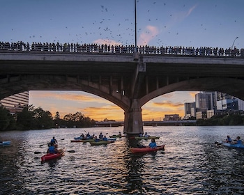 Austin: Tur Kayak Kelelawar Sunset di Congress Avenue