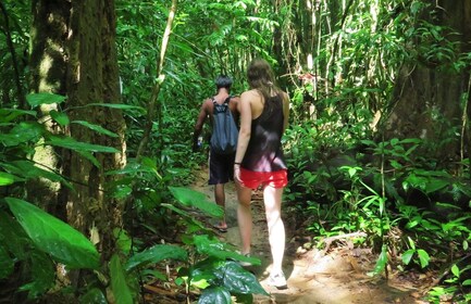 2-dagars djungelsafari i Khao Sok från Krabi med övernattning