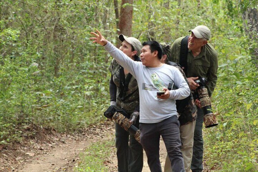 Xocen Birding