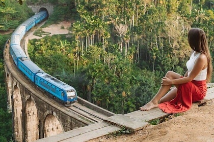 Ella Private Day Tour - Departing from Any Location in Sri Lanka
