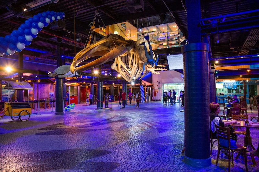 Museum of Tomorrow, AquaRio & Olympic Boulevard 