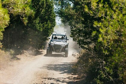 クレマスティロードス4x4ポラリス・バギー・オフロード・ツアー