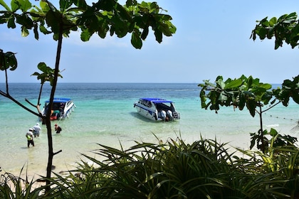 Privat Phi Phi Island Speed Boat Tour med Sea Eagle från Krabi