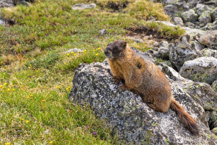 25+ National Park Tours: Self-Guided Driving Bundle