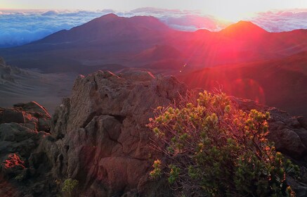 Haleakala National Park Sunrise Tour