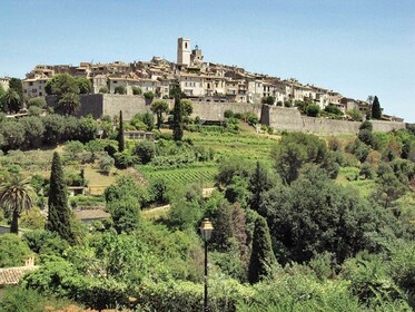 Halv dag: Smag og behag i Provence