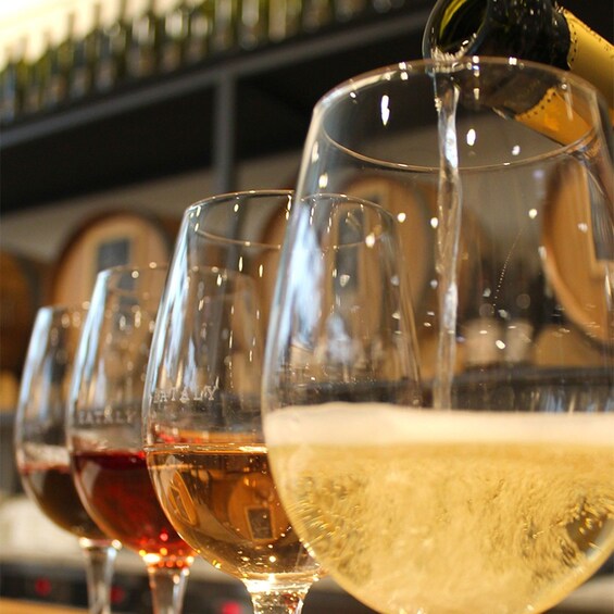 Glasses of wine lined up