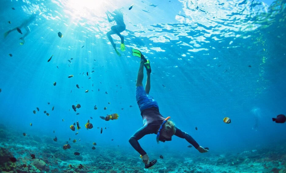 12 hours Day at Key West With Boat Tour and Snorkeling