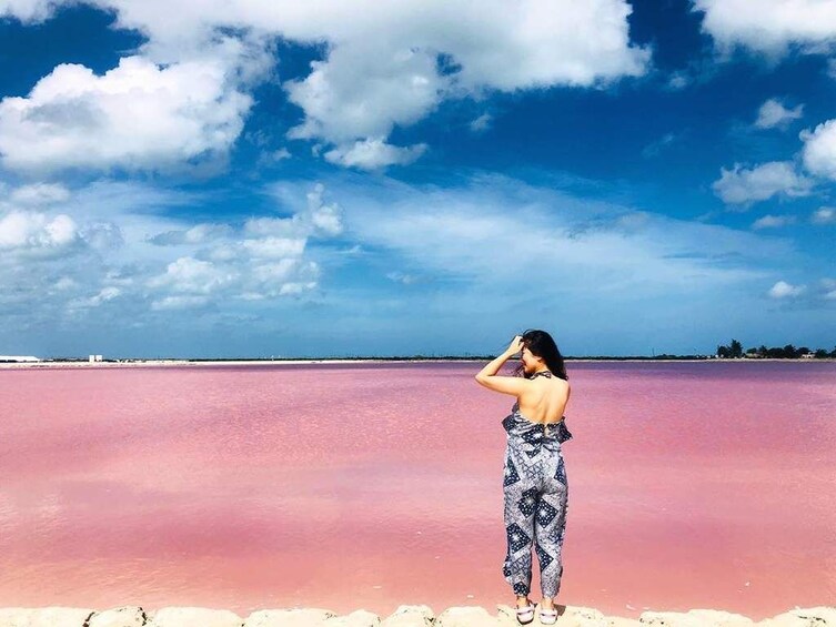 Las Coloradas Crocodile Feeding & Rio Lagartos