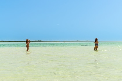 Visite de l'île de Holbox